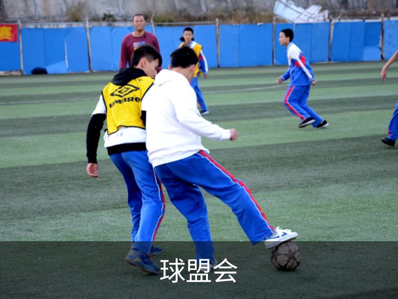 了解球盟会
